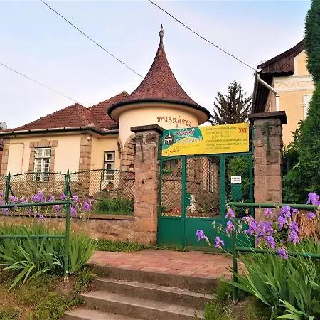 B&B Muskatli Ueduelohaz 2*