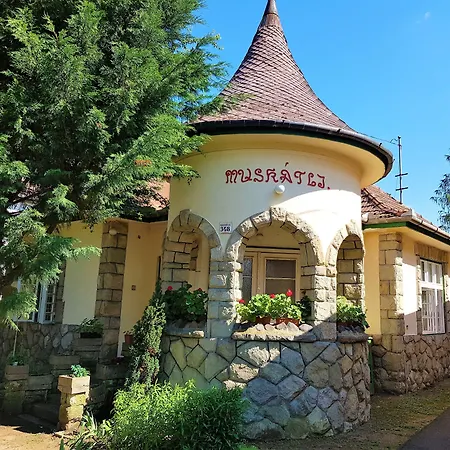 Muskatli Ueduelohaz Parád